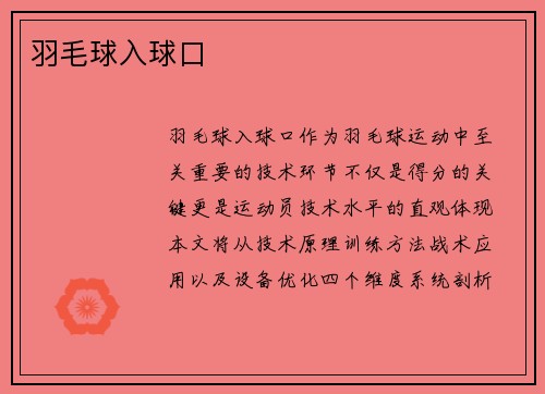 羽毛球入球口